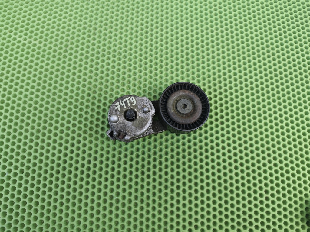 JEEP GRAND CHEROKEE (WJ) 1999-2004 для Ролик натяжитель