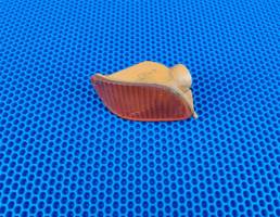 Указатель поворота правый для FORD FOCUS I 1998-2004  запчасти бу