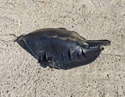 Подкрылок (локер) задний левый для TOYOTA CARINA E 1992-1997  запчасти бу