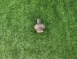 Болт шкива коленвала для JEEP GRAND CHEROKEE (WJ) 1999-2004  запчасти бу